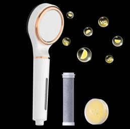 RG SF02-SL Filtered Shower Head with Handheld
